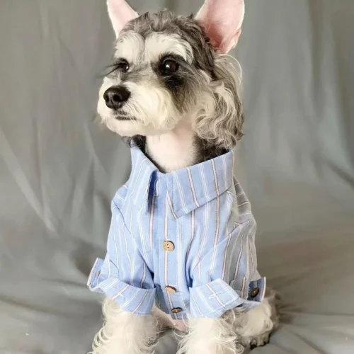 Summer Clothes for Dogs Dog Shirts Pets Shirt Pet Puppy Apparel Spring Blouse Doggy Clothing Supplies Products
