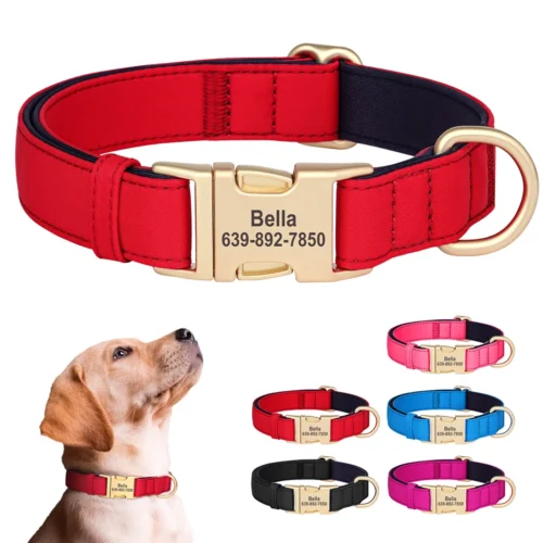 Personalized Nylon Dog Collar Mesh Breathable Padded Dog Collars Custom Pet ID Collars Waterproof Necklace for Small Medium Dogs